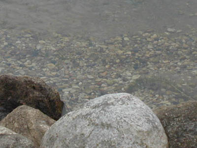 rocks