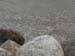 rocks