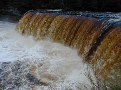 Tahquamenon Falls Spring