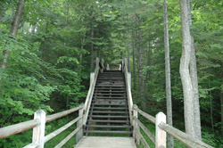 Tahquamenon Falls