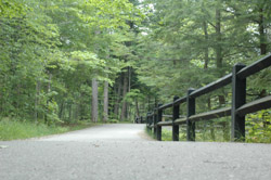 Tahquamenon Falls