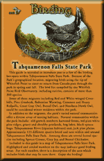 Tahquamenon Falls Birding Book available at the State Park.
