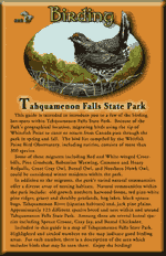 Tahquamenon Falls Birding