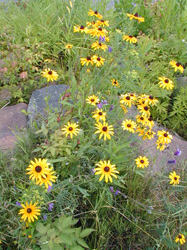 Ontonagon Michigan