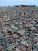 Rocky Shoreline