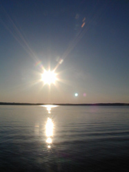 Curtis Area