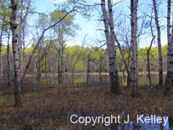 Drummond Island