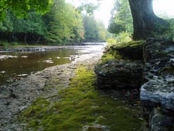Escanaba