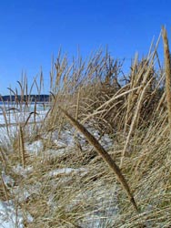 Escanaba