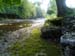 Rapid River