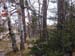 Newberry Michigan