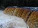 Tahquamenon Falls