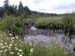 Teaspoon Creek