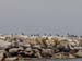 Commorant Island