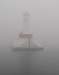 Fog