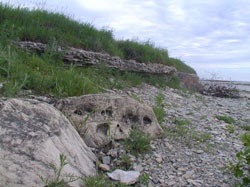 Escanaba